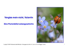 Bilderbuch-Valentin.pdf